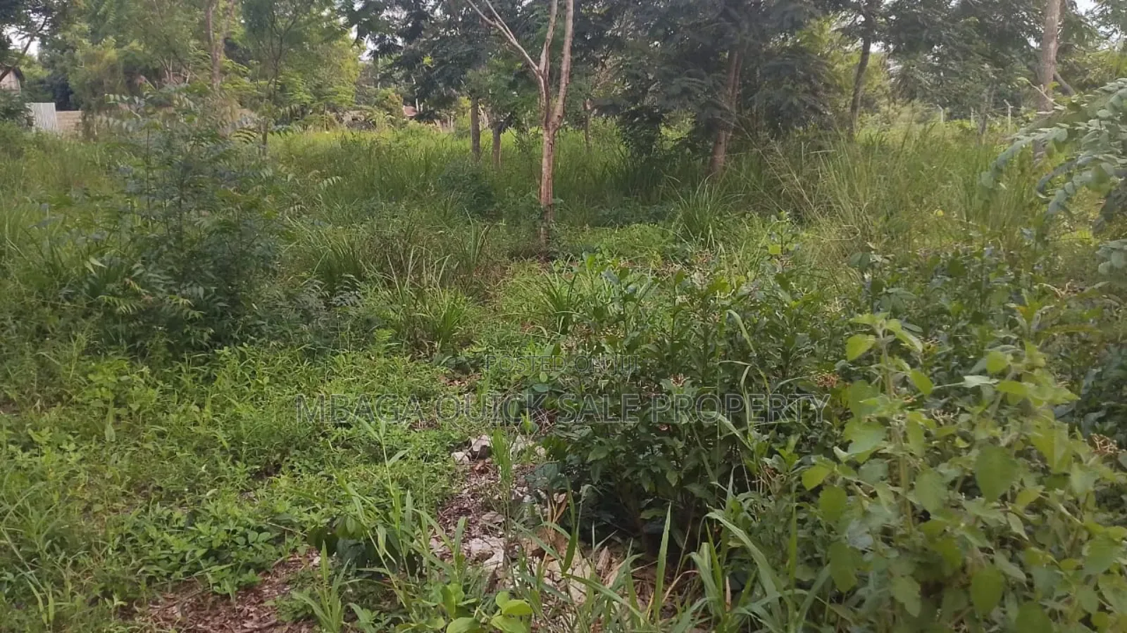 Plot for Sale at Madale Mbopo Shule in Goba