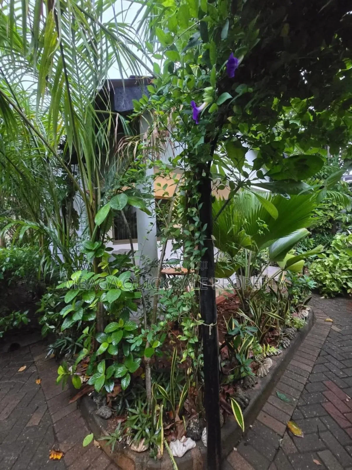 Furnished 1bdrm Apartment in Masaki for rent in Masaki
