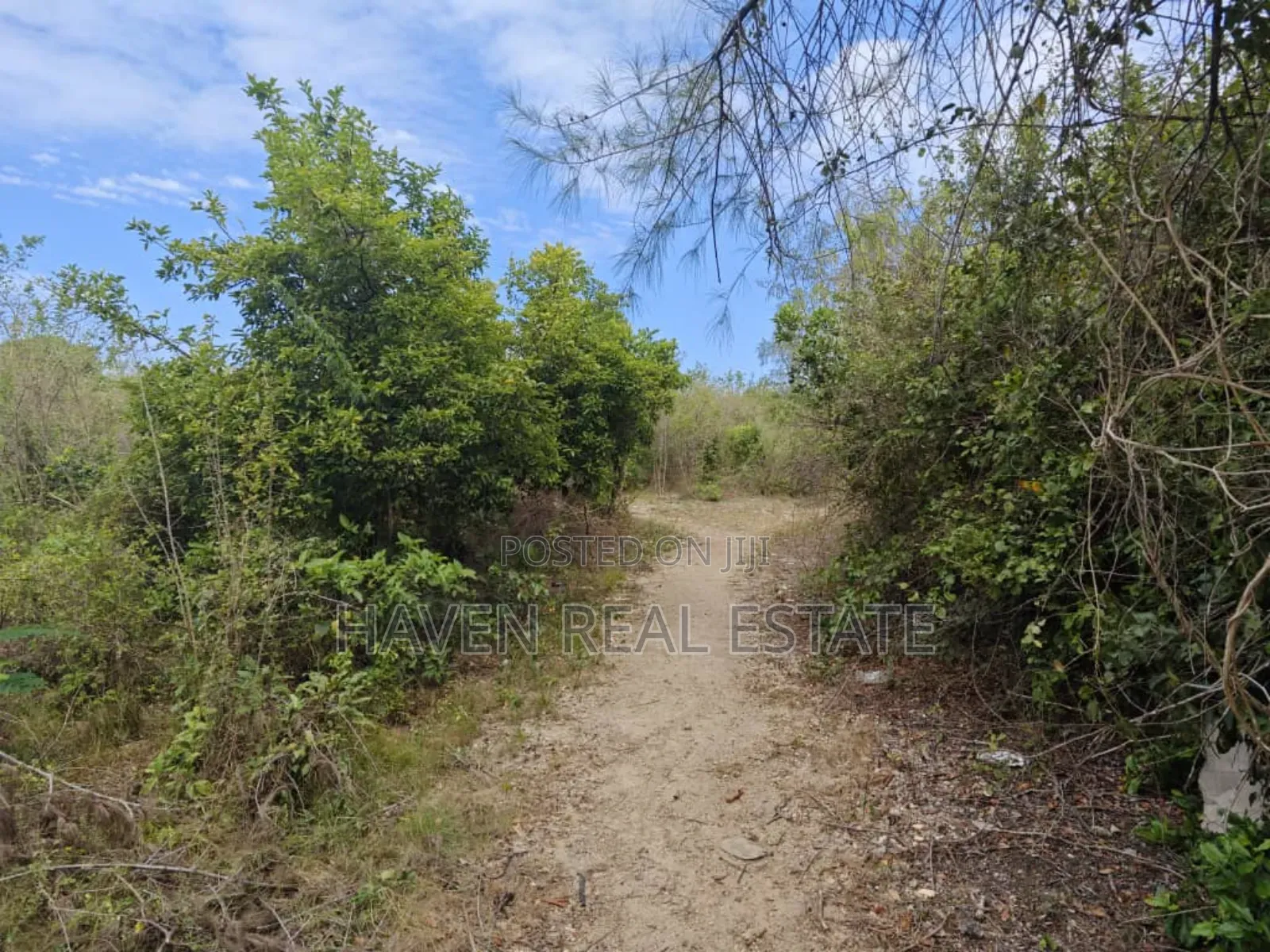 Beach Plot for Sale at Zanzibar in Kusini