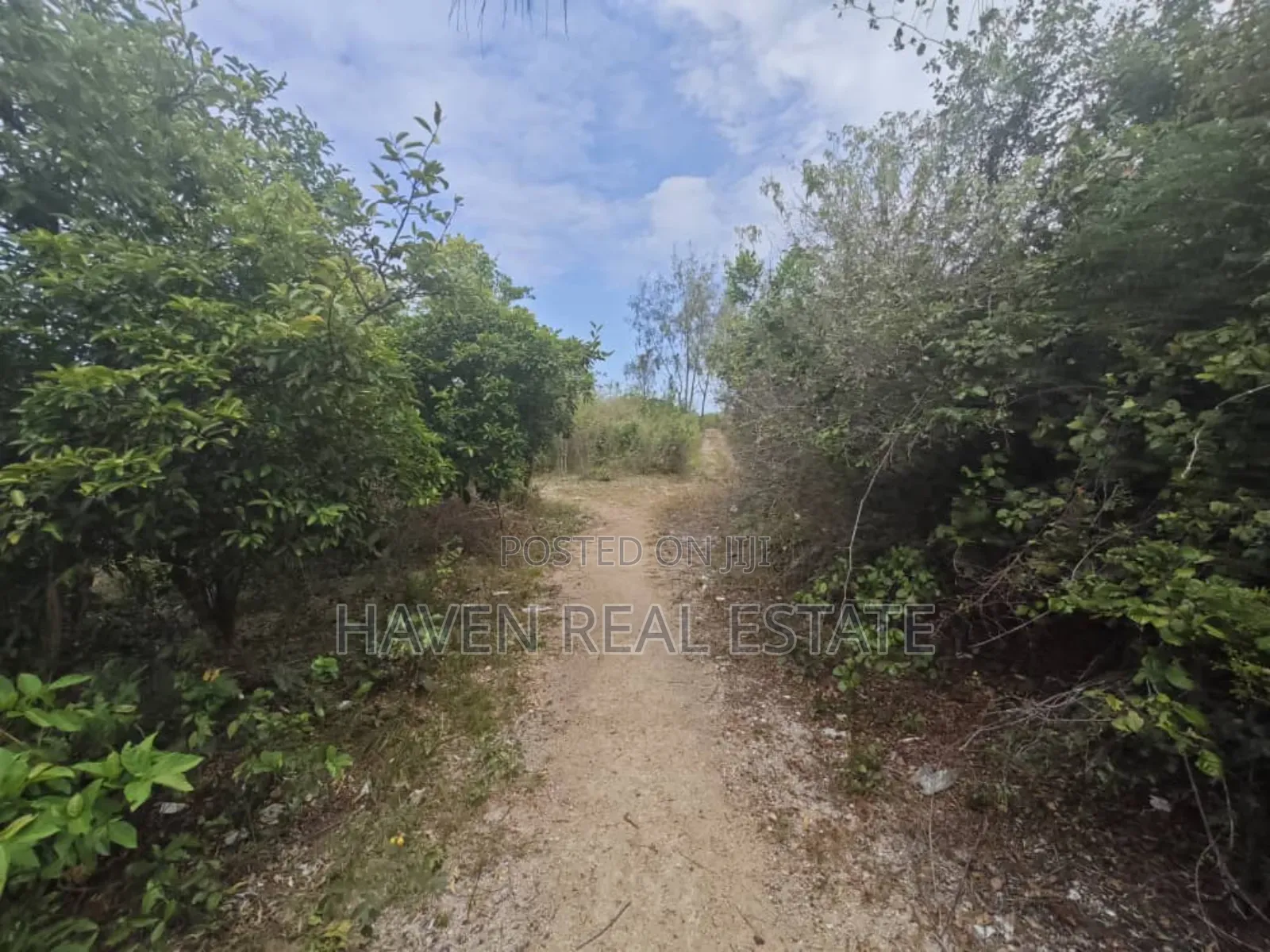 Beach Plot for Sale at Zanzibar in Kusini