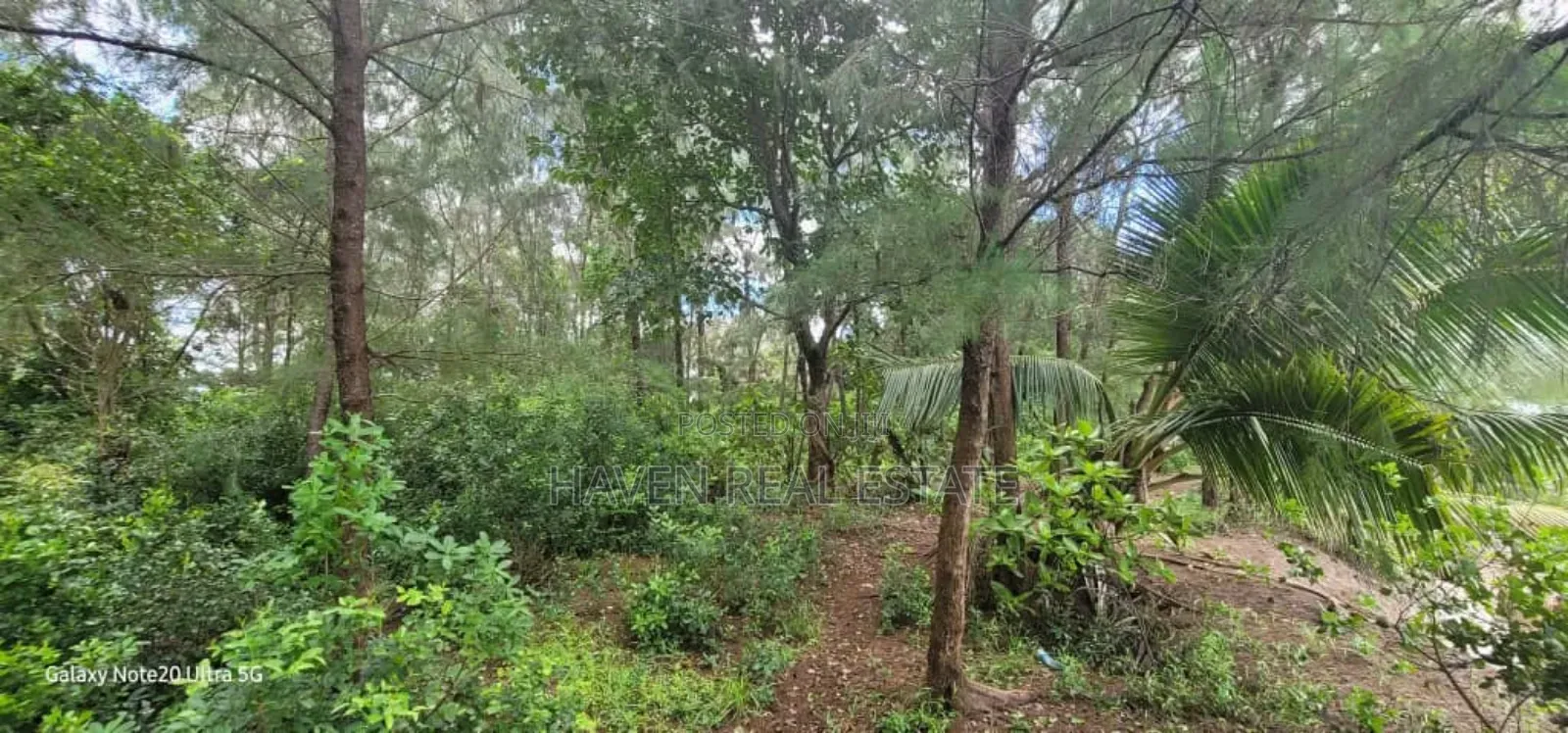11 Acres Beach Plot for Sale at Zanzibar in Kaskazini A
