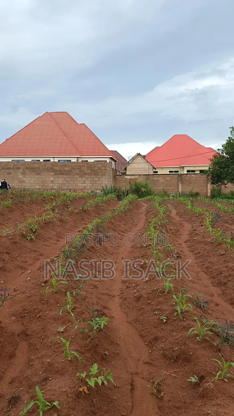 Plot for Sale Ilemela Busweru in Buswelu