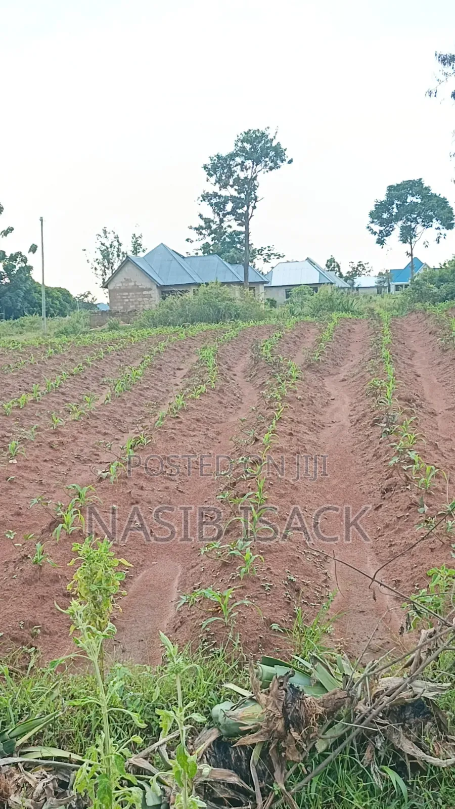 Plot for Sale Ilemela Busweru in Buswelu