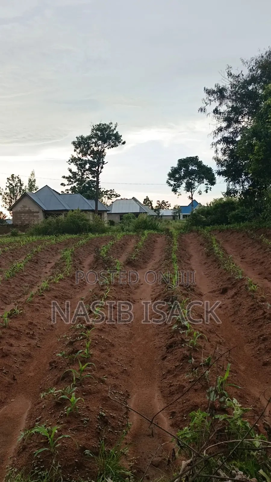 Plot for Sale Ilemela Busweru in Buswelu