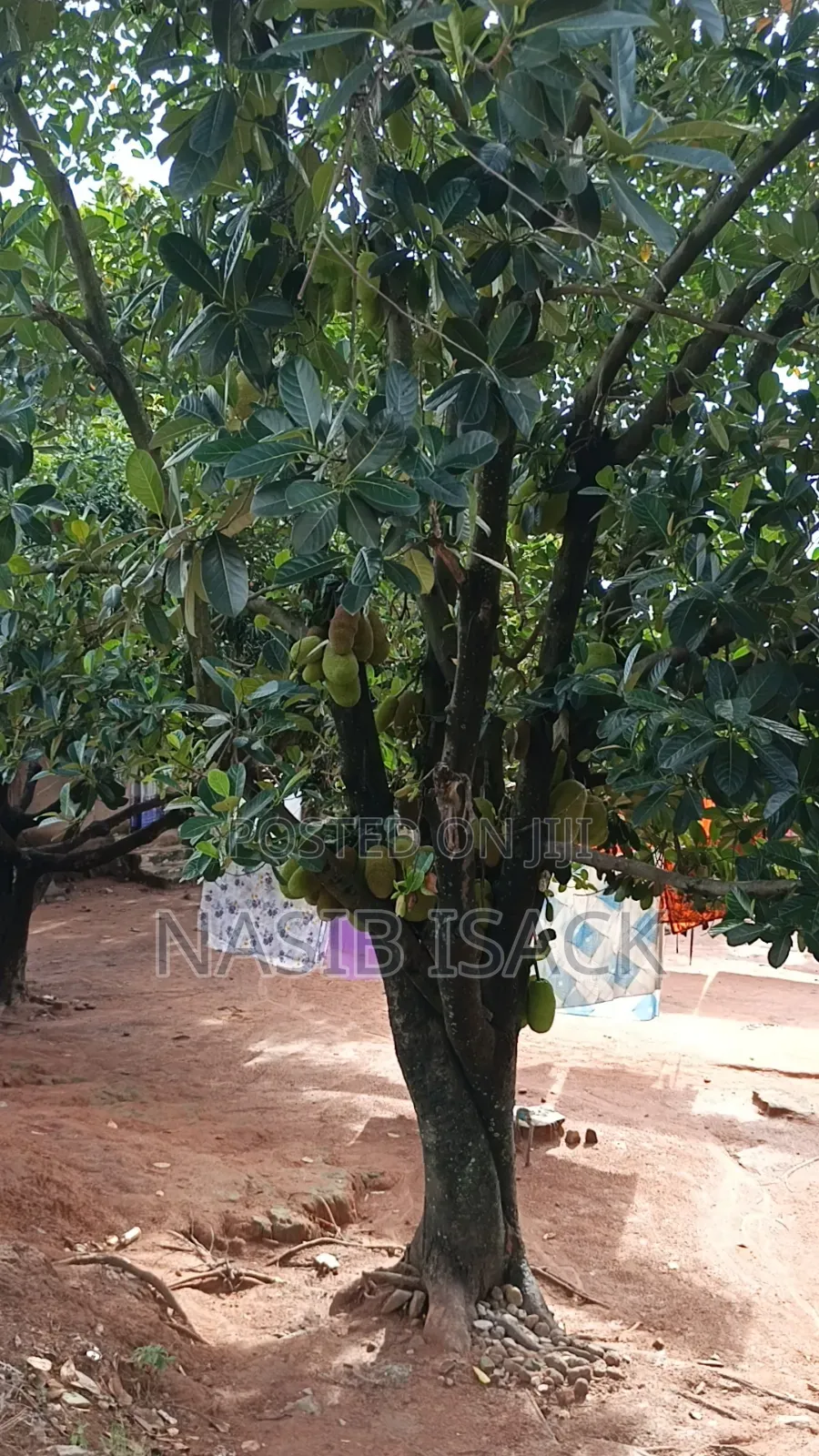 5bdrm House in Isamilo for sale in Isamilo