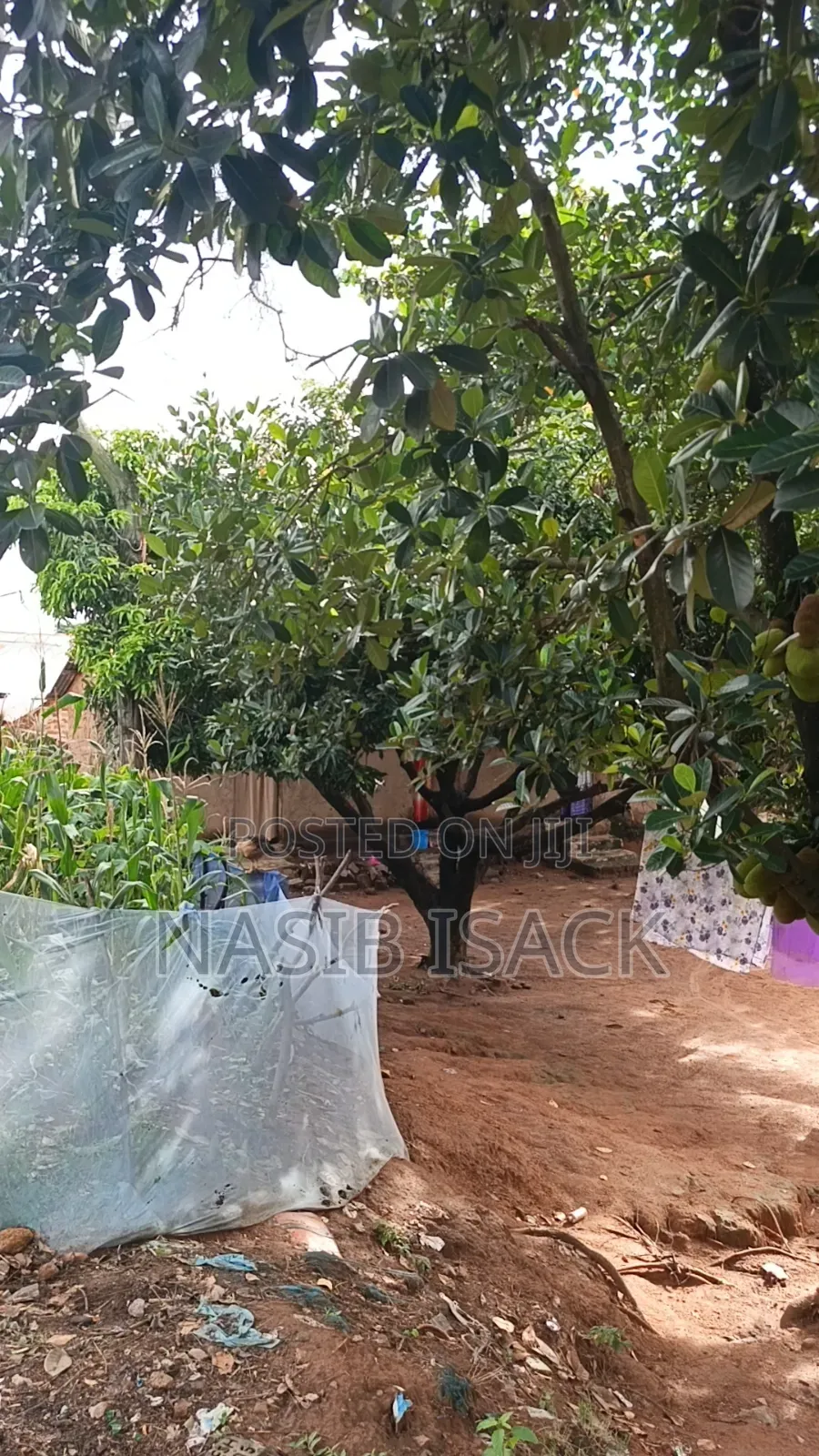 5bdrm House in Isamilo for sale in Isamilo