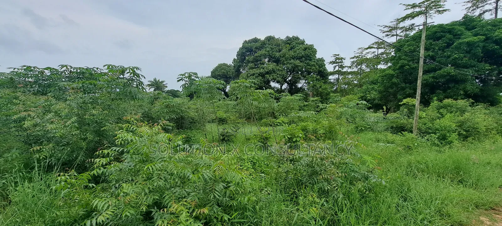 Kiwanja Kinauzwa Kilimahewa Mbweni in Mbweni