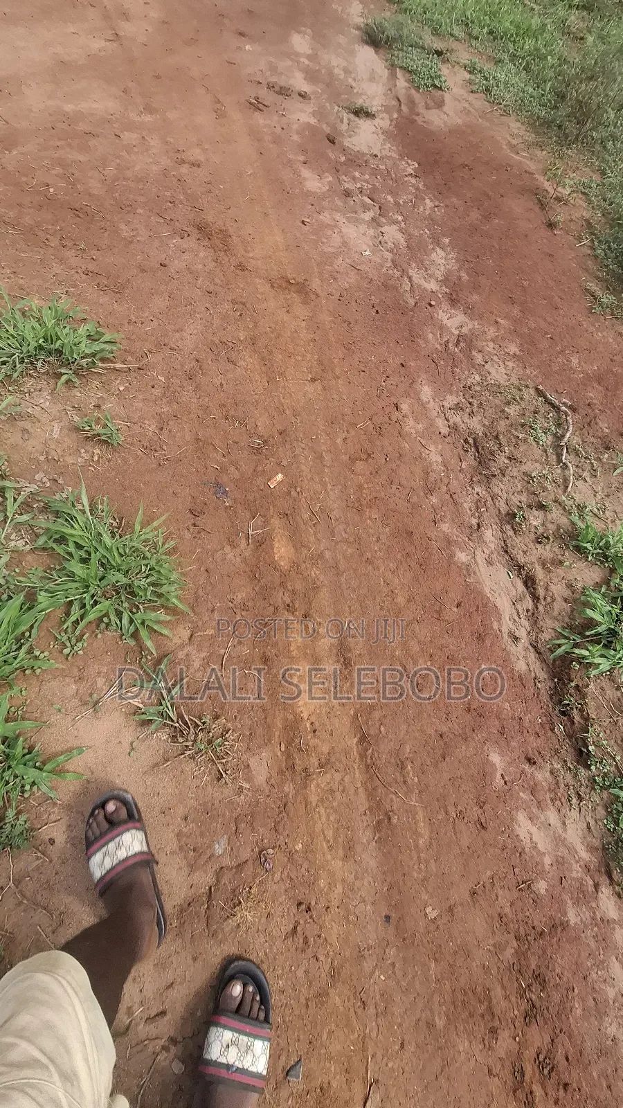 7hector at Goba Mbez Side Full Tittle Deed in Goba