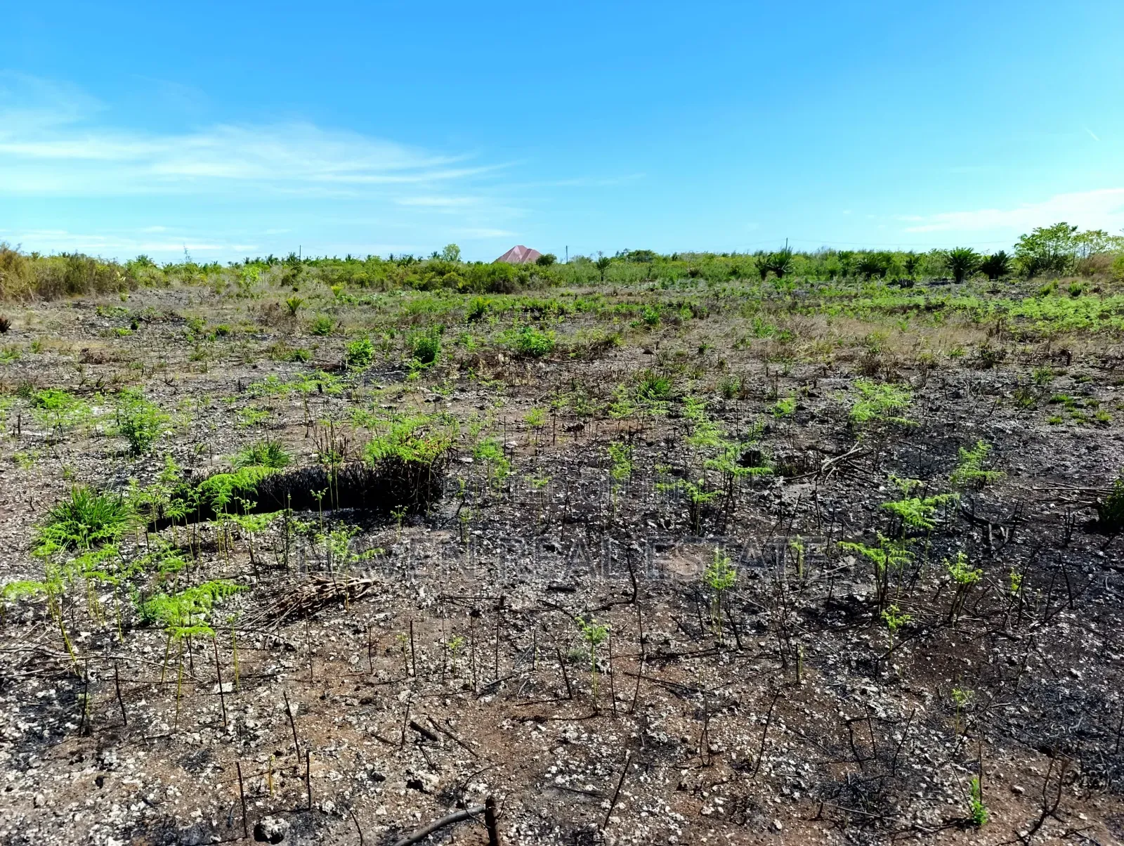 Plot for Sale at Paje Zanzibar in Kaskazini A
