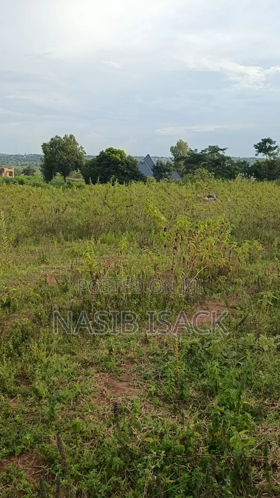 Plot for Sale Mwanza Ilemela Busweru in Shibula