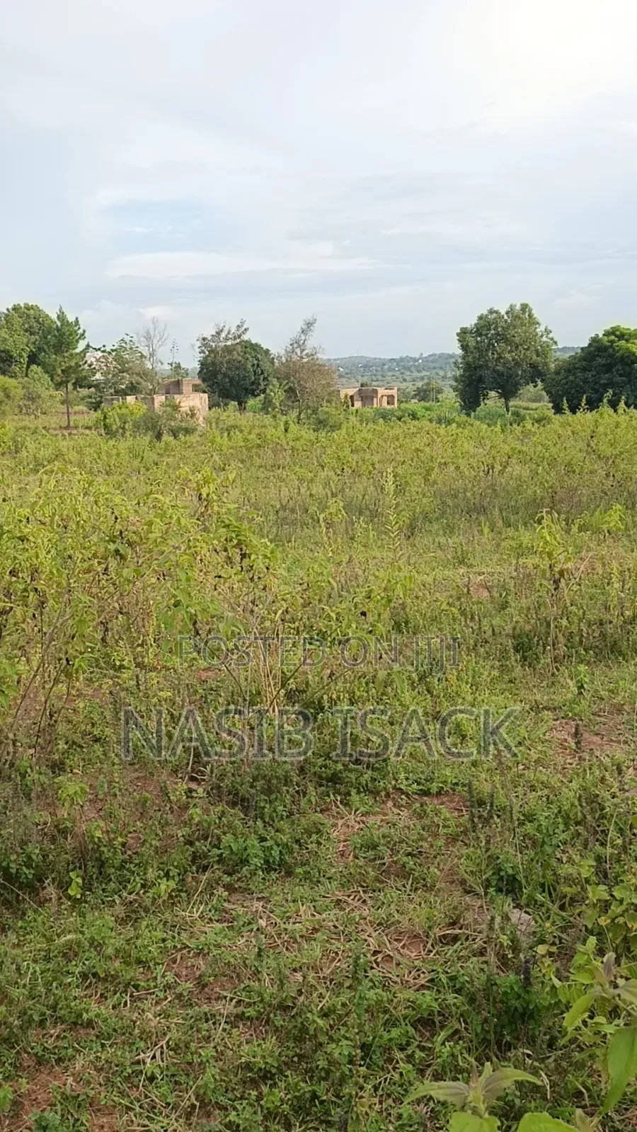 Plot for Sale Mwanza Ilemela Busweru in Shibula