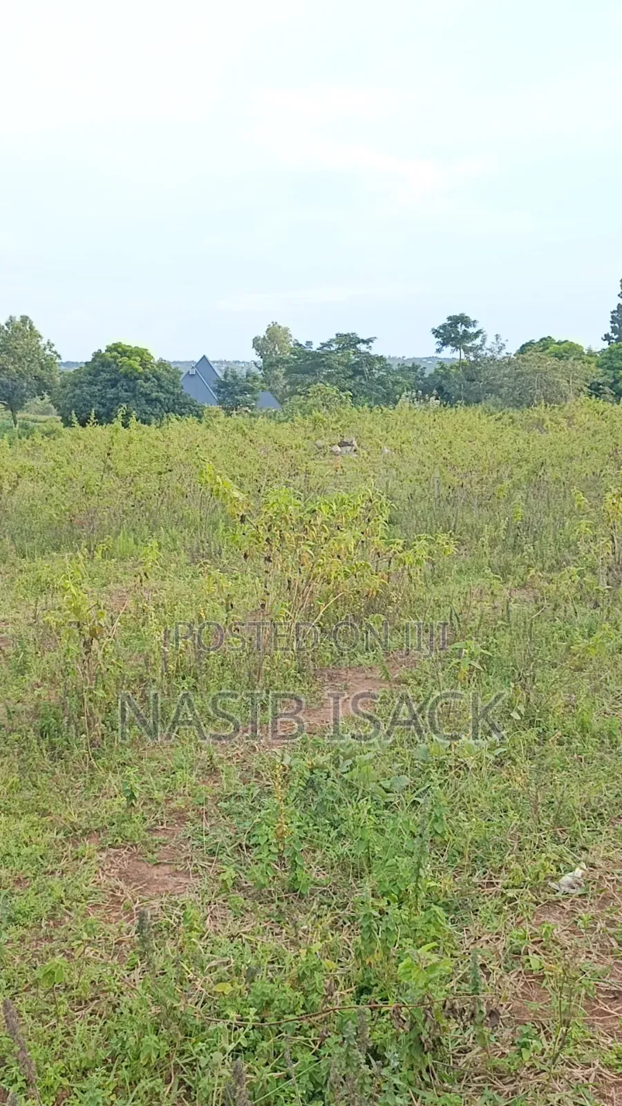 Plot for Sale Mwanza Ilemela Busweru in Shibula