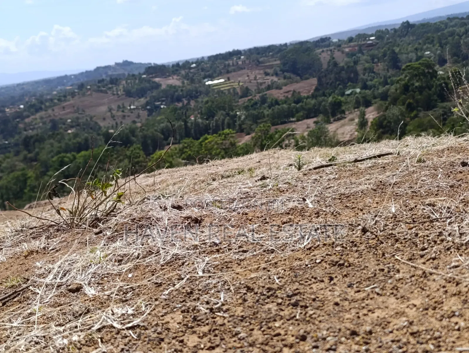 15 Acres Farm for Sale at Ngorongoro Highland in Ngorongoro