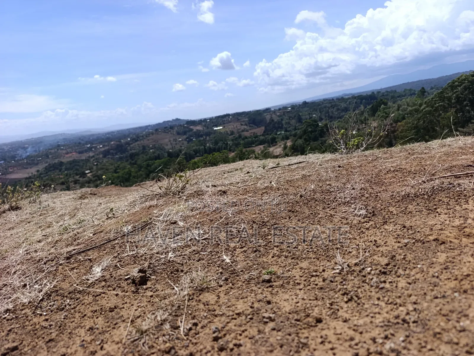 15 Acres Farm for Sale at Ngorongoro Highland in Ngorongoro