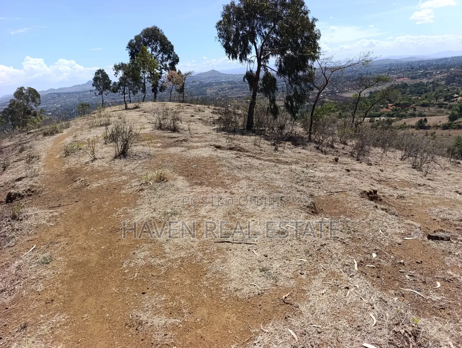 15 Acres Farm for Sale at Ngorongoro Highland in Ngorongoro