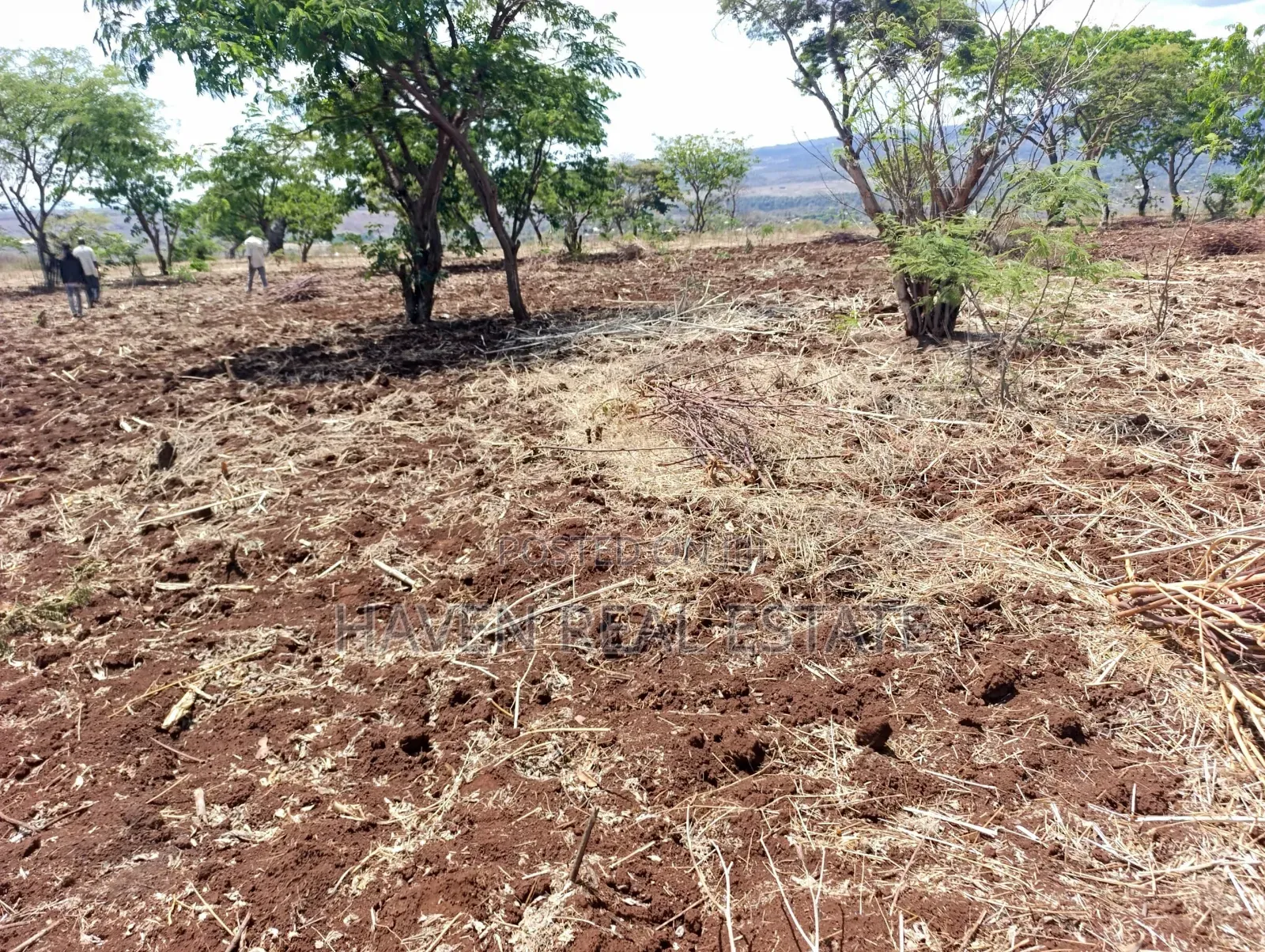 *10 Acres at Ngorongoro Conservation Area for Sale in Karatu* in Ngorongoro
