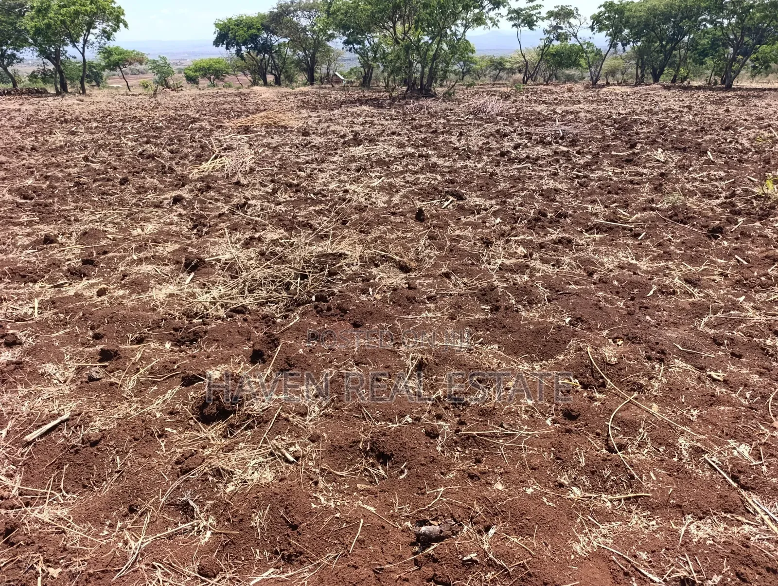 *10 Acres at Ngorongoro Conservation Area for Sale in Karatu* in Ngorongoro