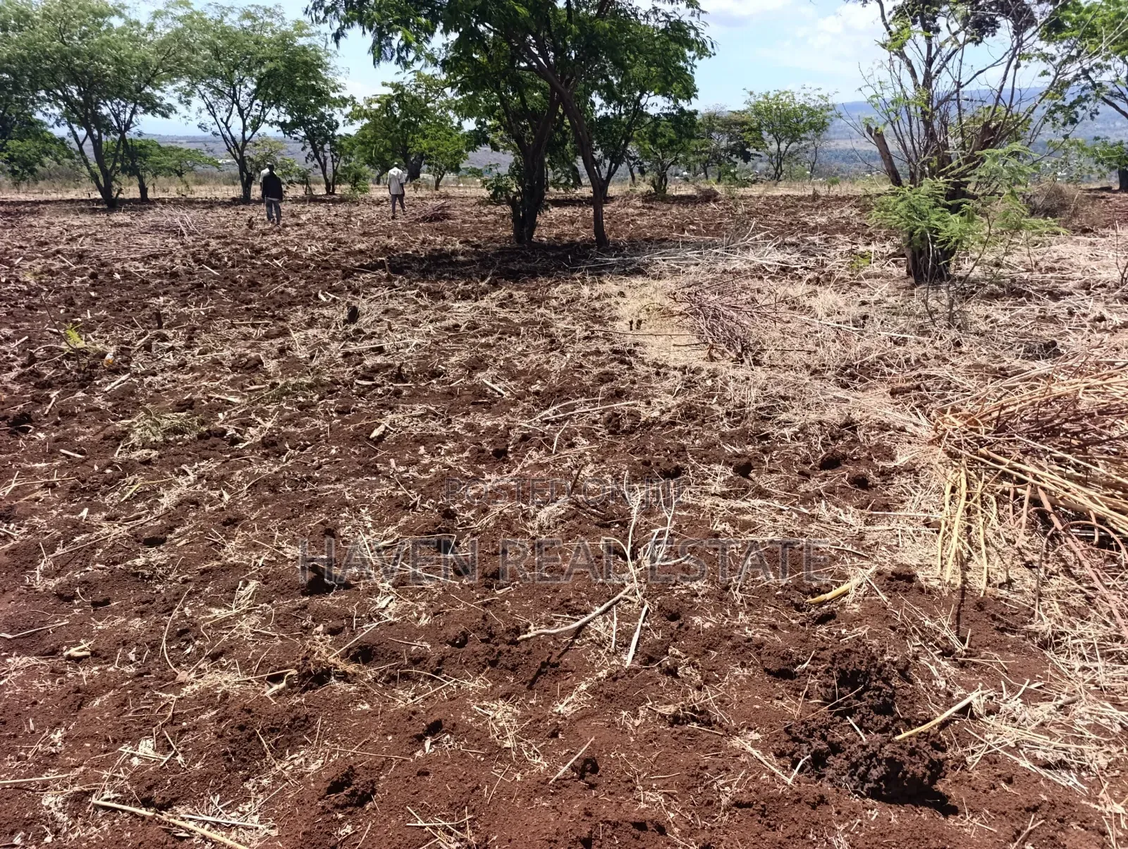*10 Acres at Ngorongoro Conservation Area for Sale in Karatu* in Ngorongoro
