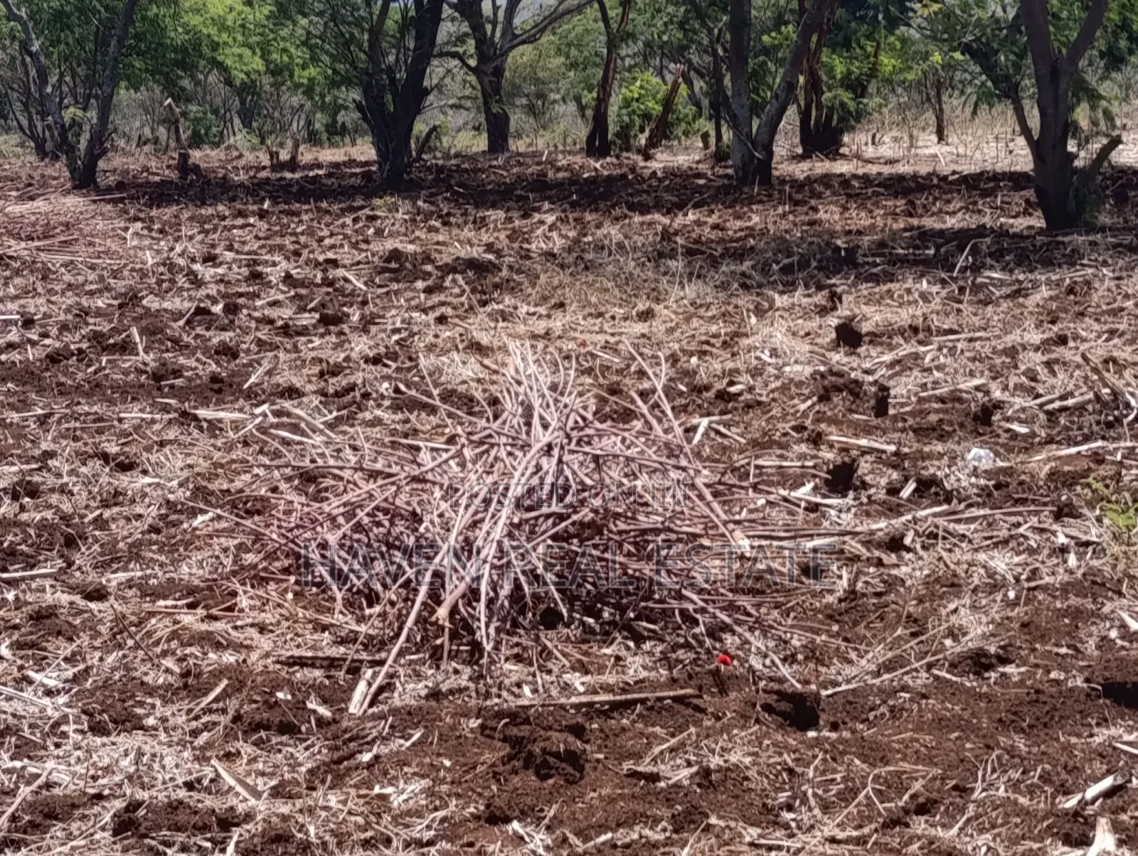 *10 Acres at Ngorongoro Conservation Area for Sale in Karatu* in Ngorongoro