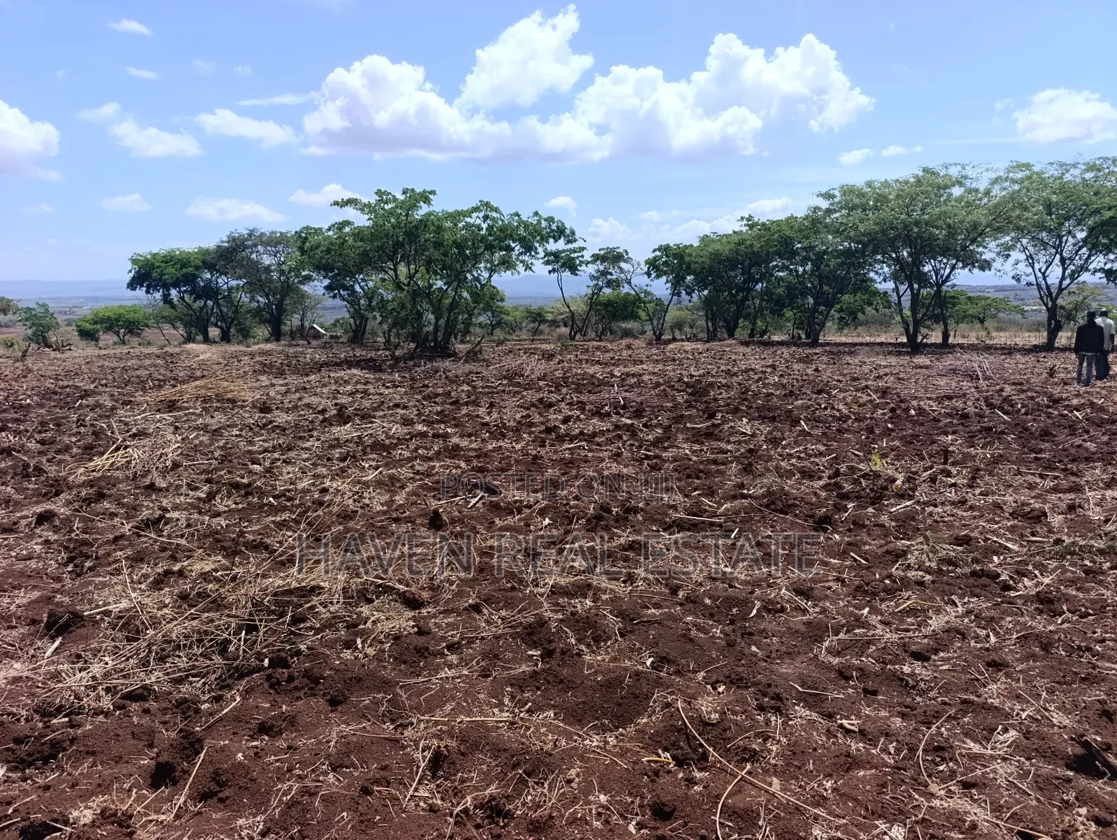 *10 Acres at Ngorongoro Conservation Area for Sale in Karatu* in Ngorongoro