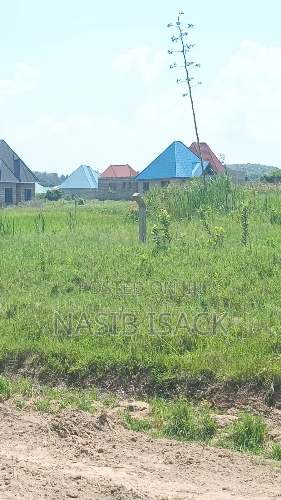 Plot for Sale Mwanza Ruchelele in Mkolani
