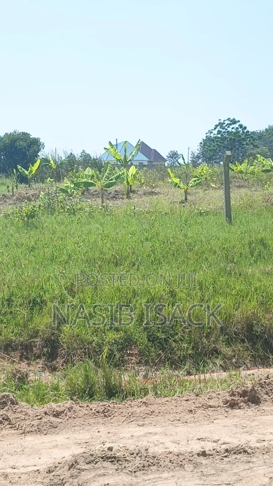 Plot for Sale Mwanza Ruchelele in Mkolani