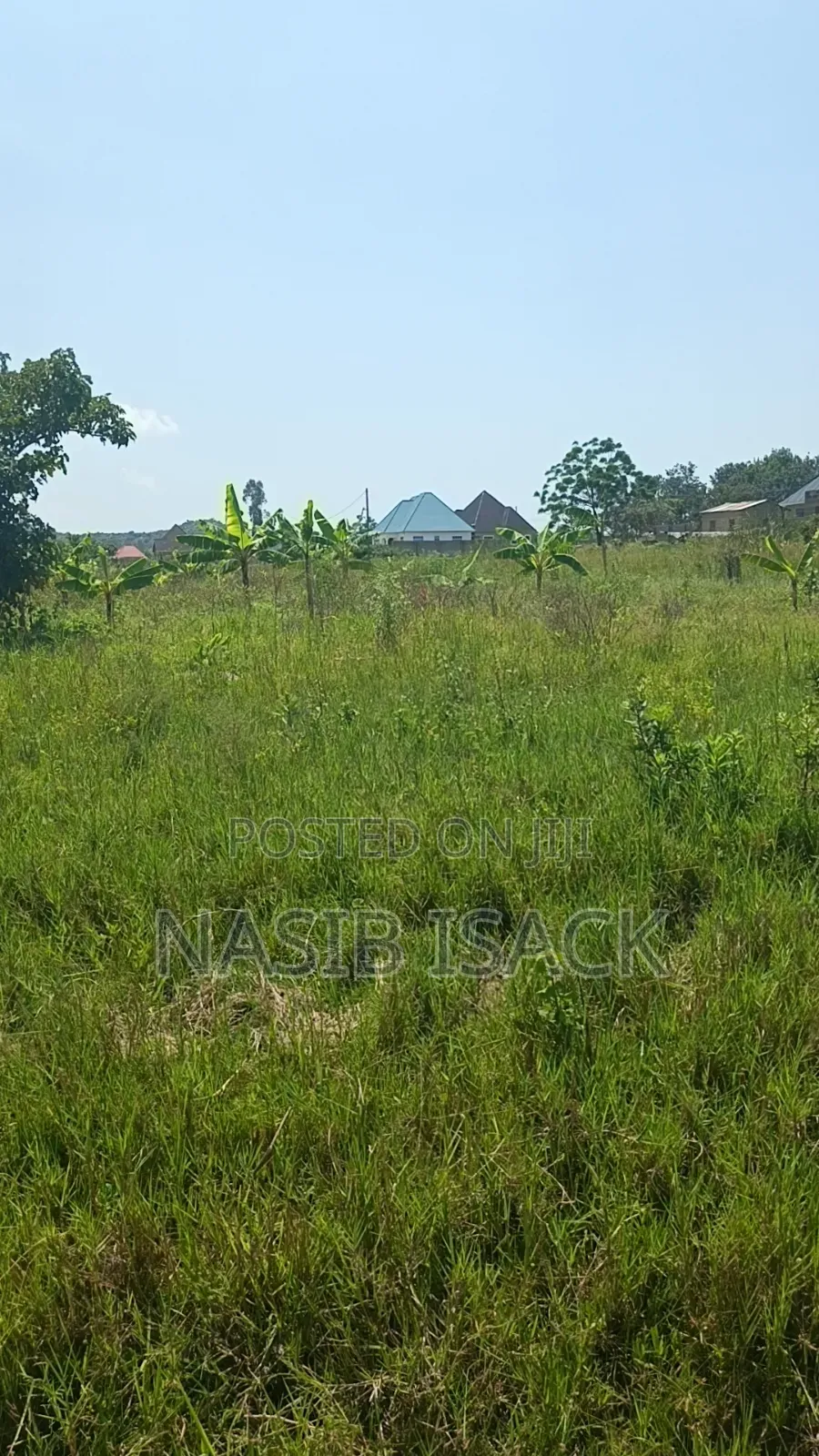 Plot for Sale Mwanza Ruchelele in Mkolani