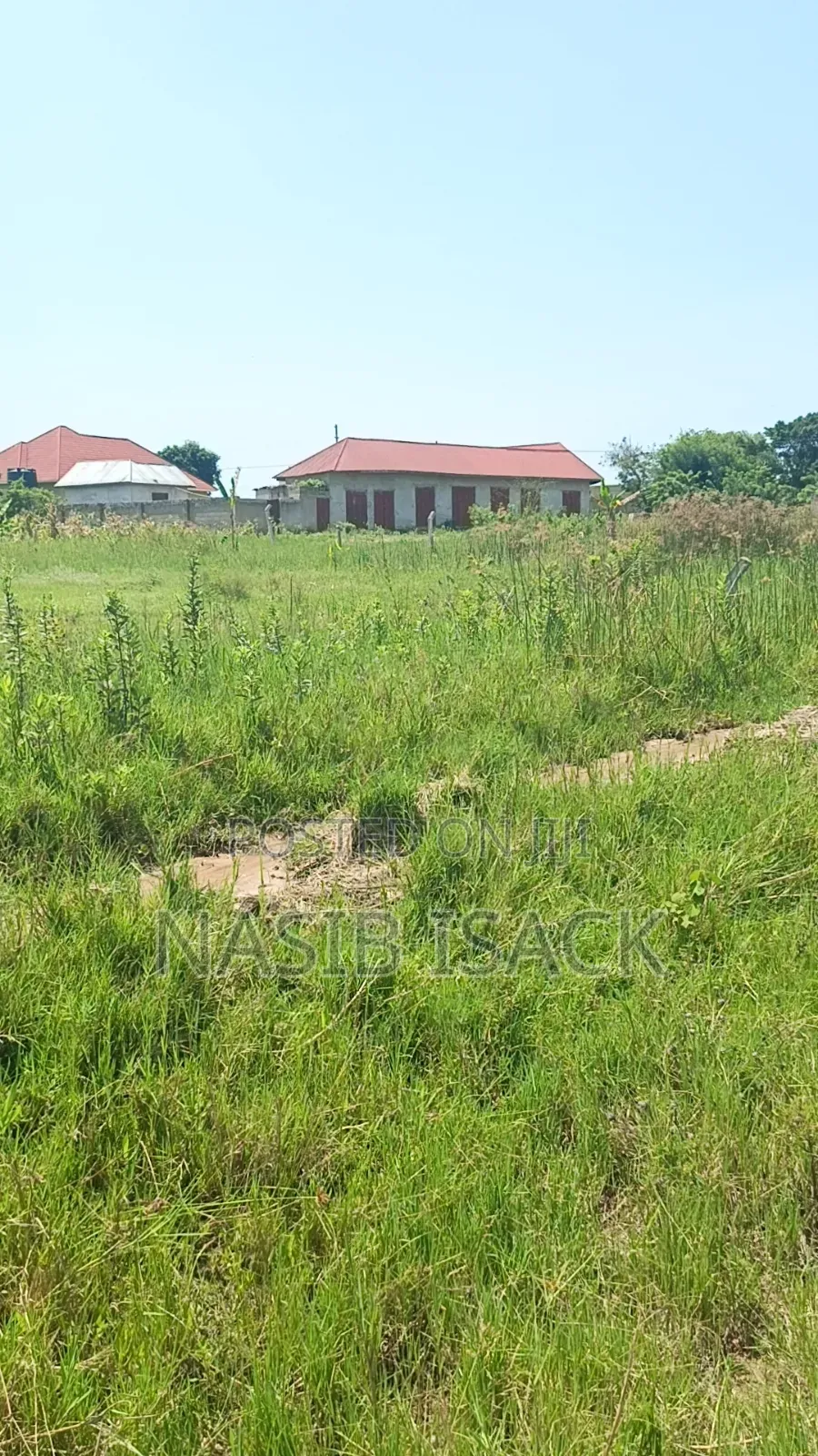 Plot for Sale Mwanza Ruchelele in Mkolani