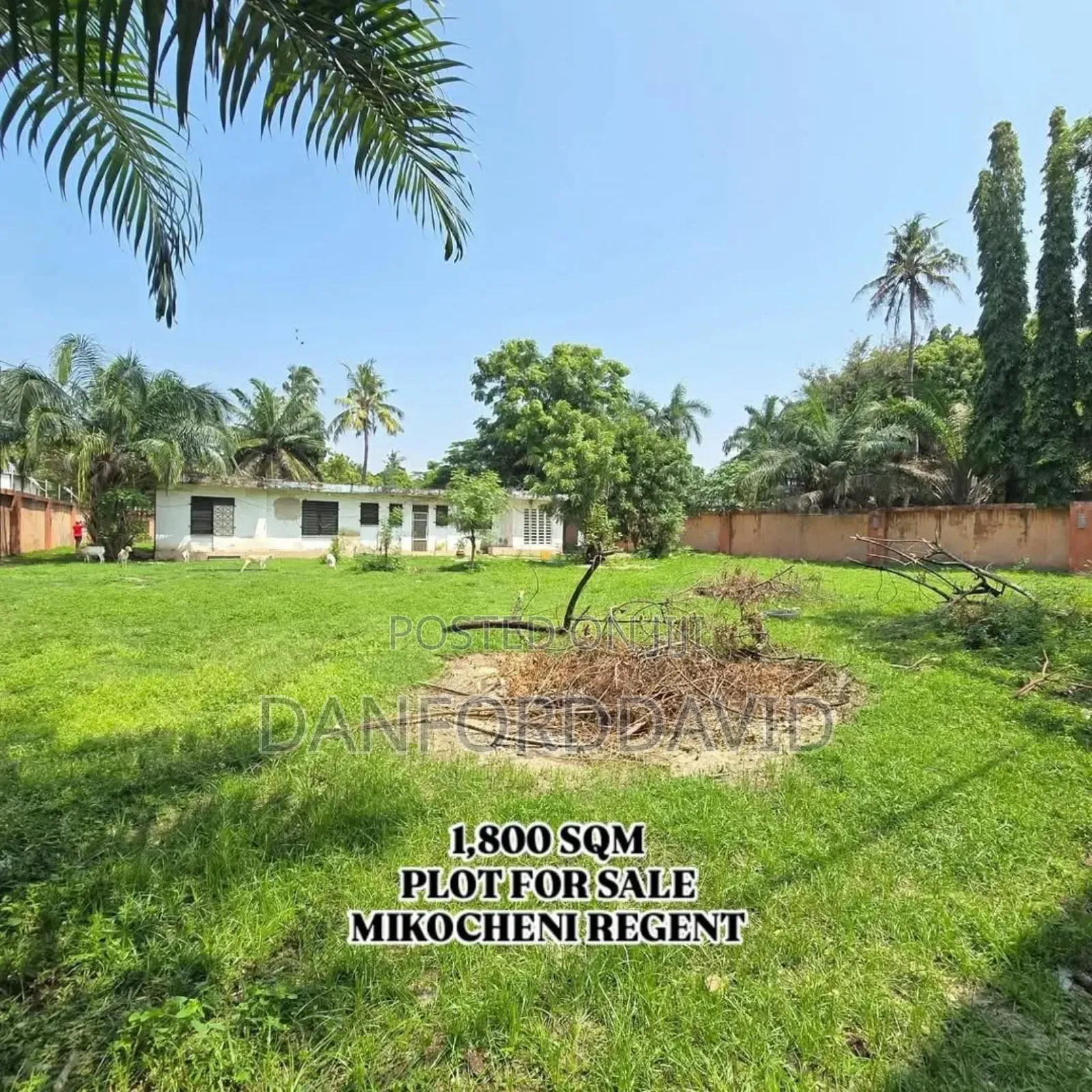 Plot for Sale in Mikocheni