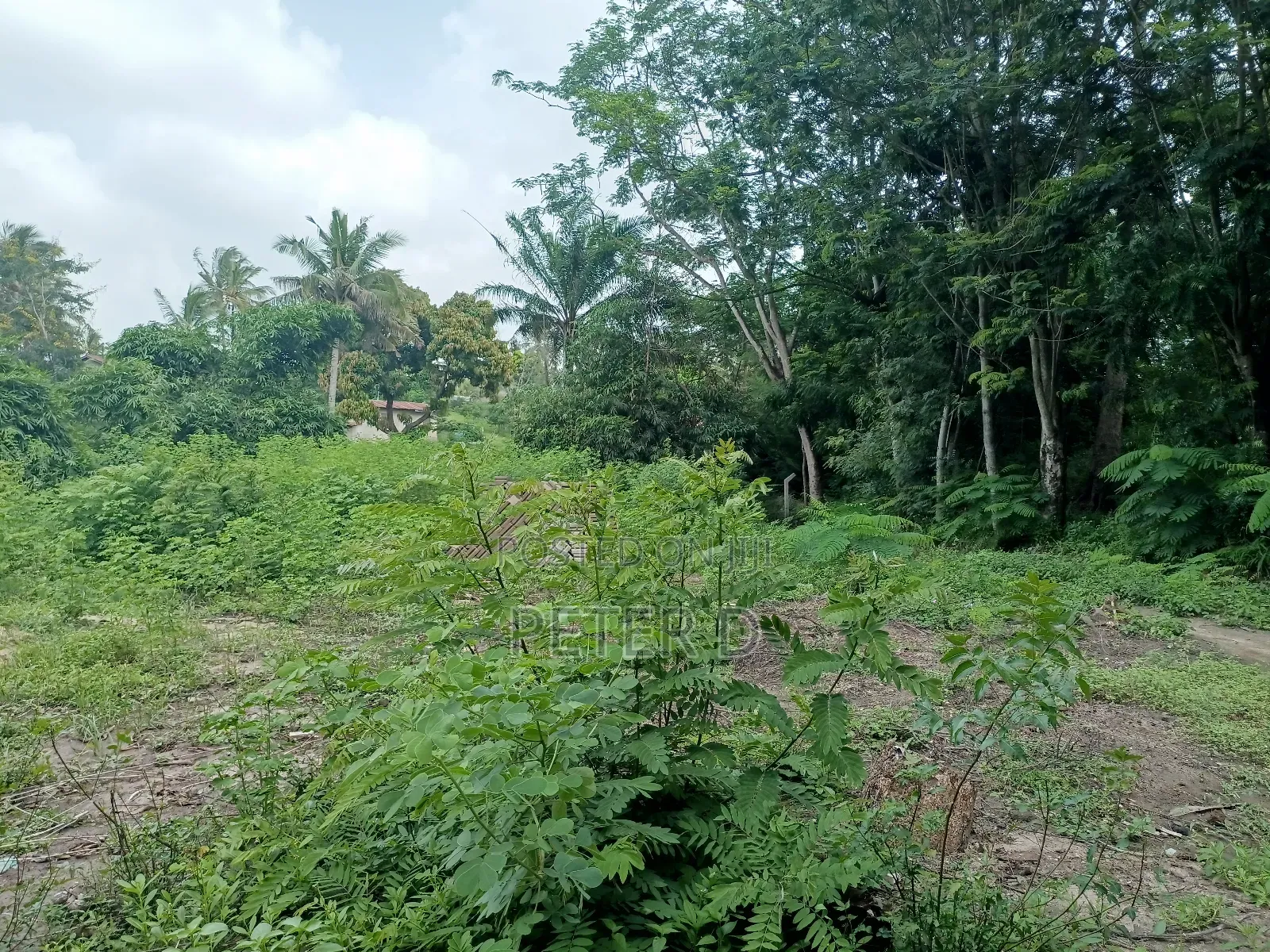 Kiwanja Sqm750 Kimara Korogwe in Kimara