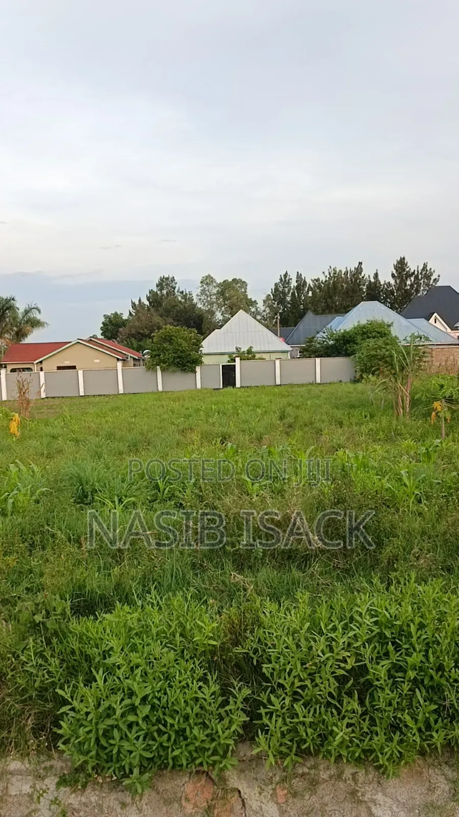Plot for Sale Nyamuhongoro in Igoma