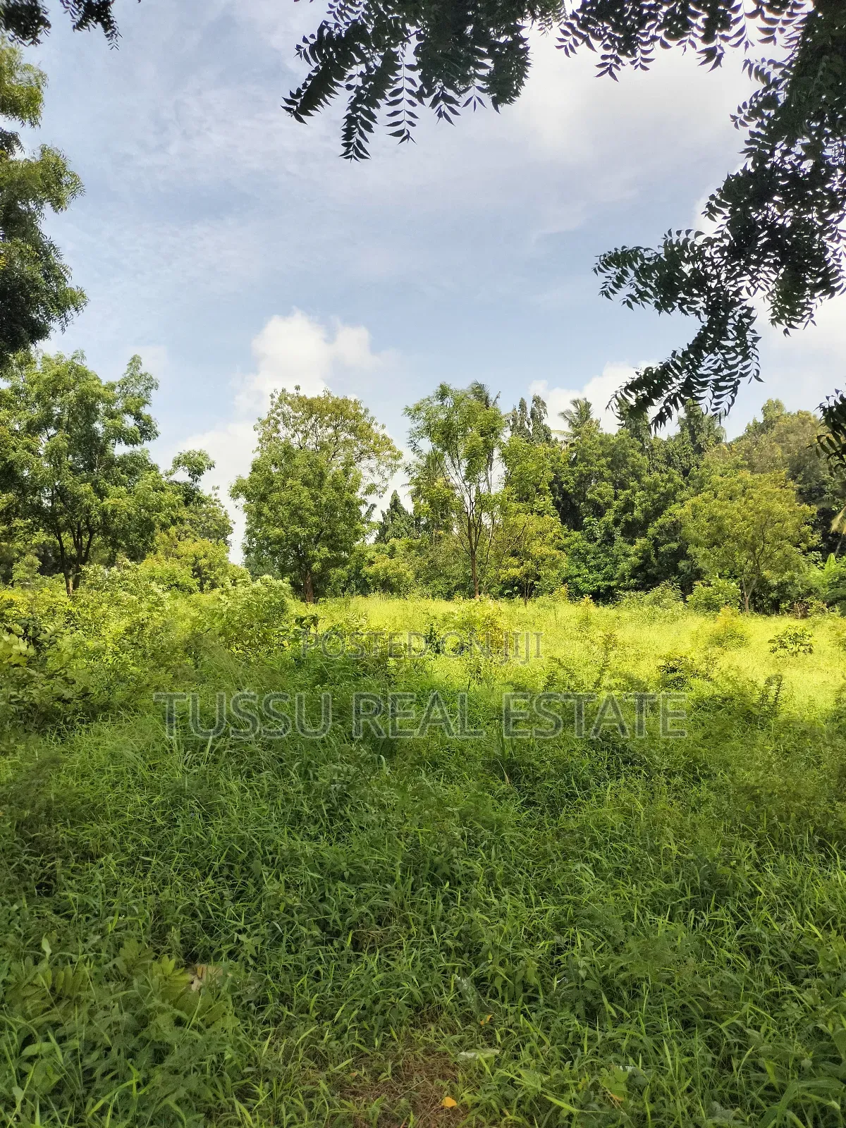 Commercial Property for Sale (Mwezi Bagamoyo Rd in Mbezi Beach
