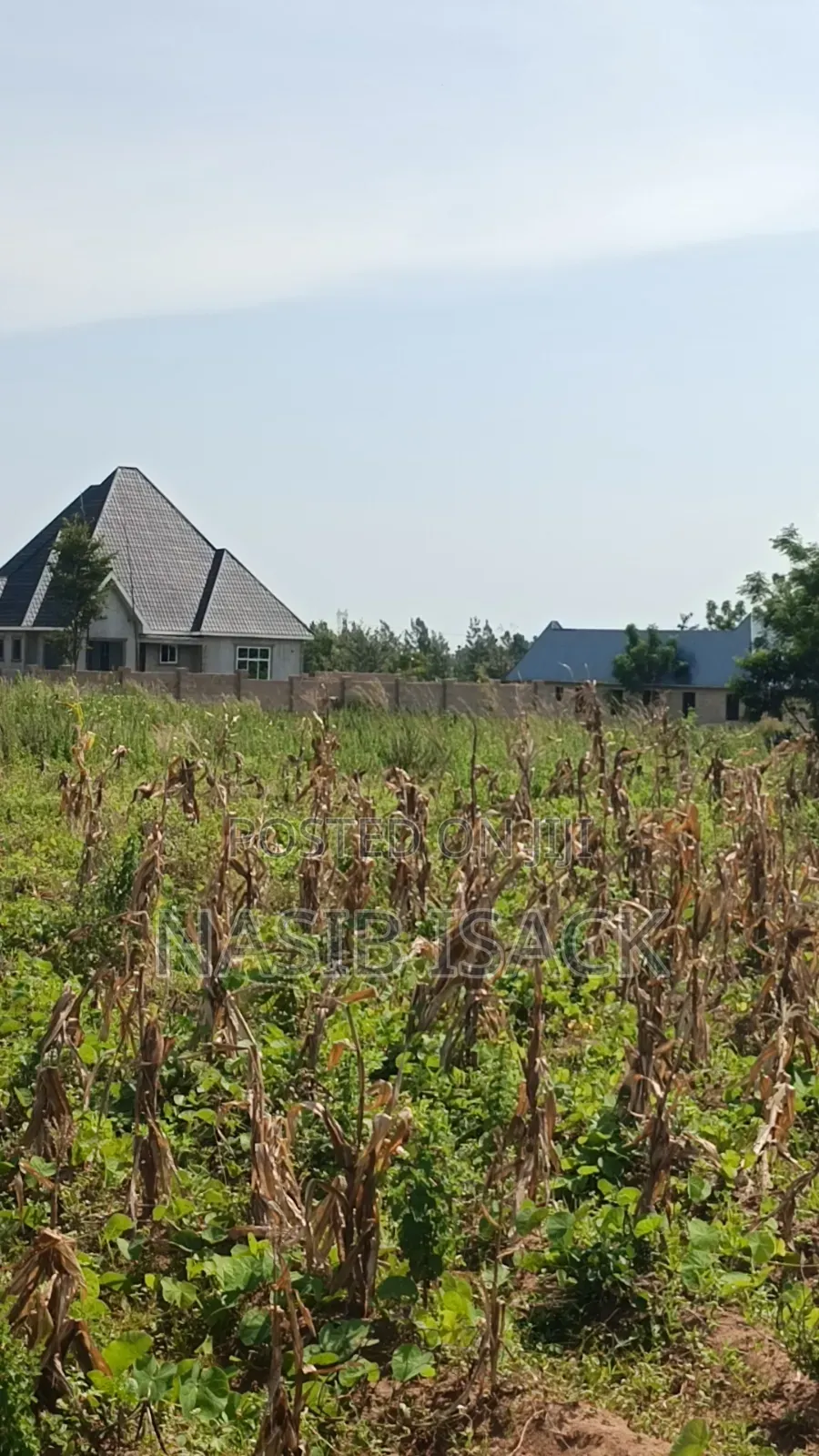 Plot for Sale Usagara Mwanza in Usagara