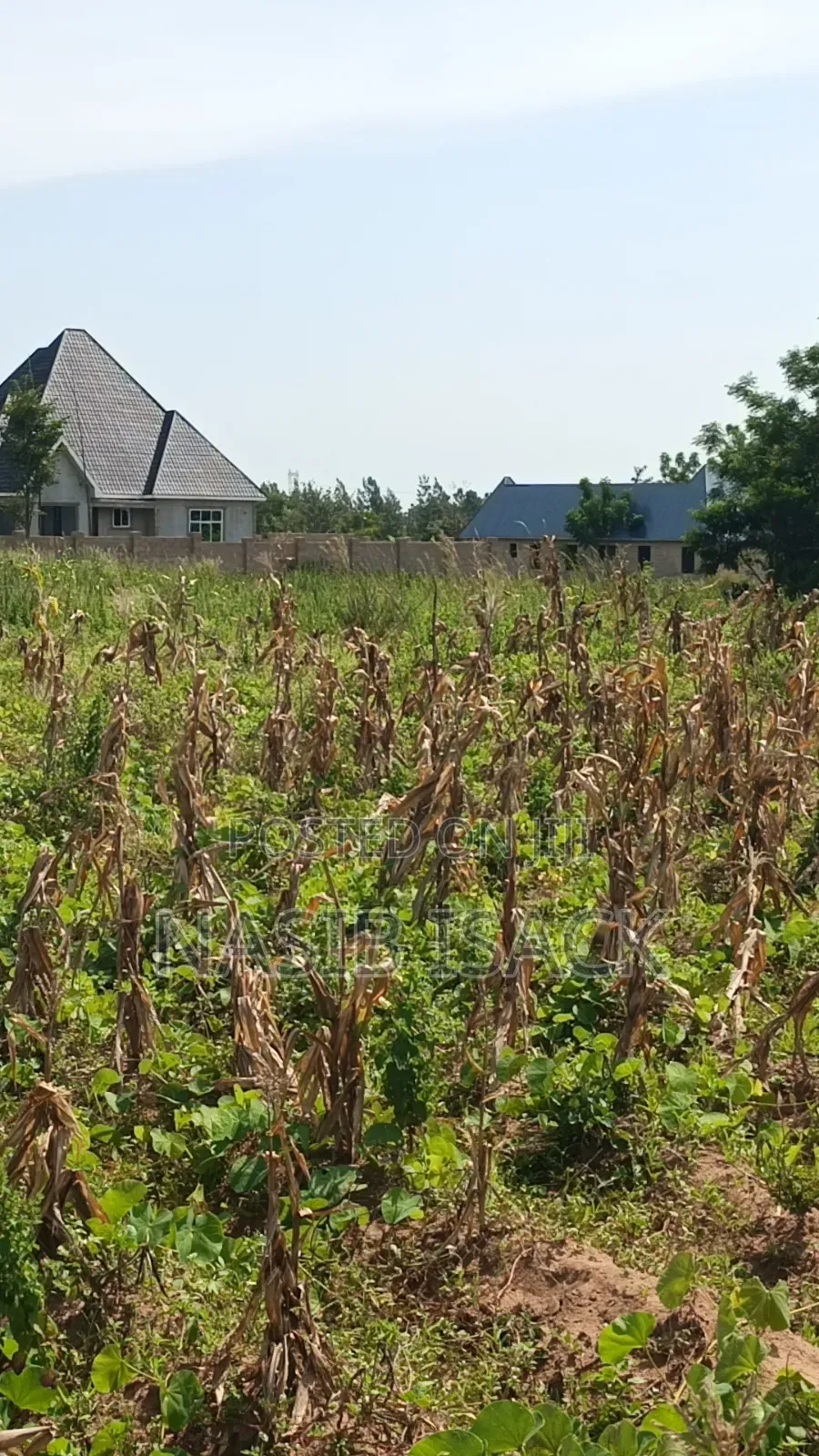 Plot for Sale Usagara Mwanza in Usagara