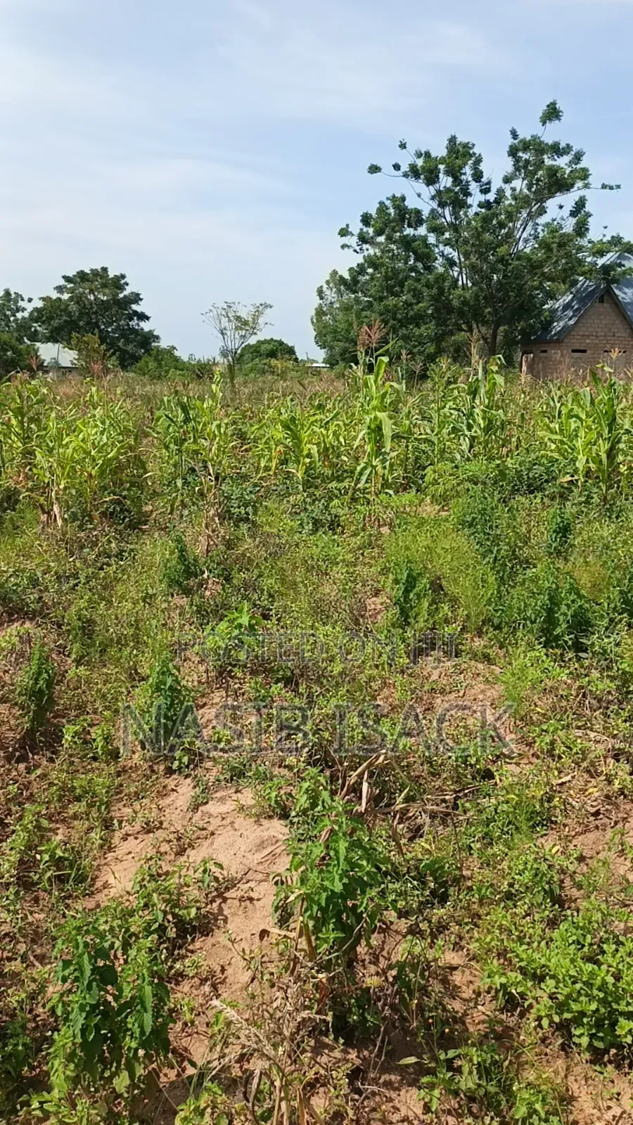 Plot for Sale Usagara Mwanza in Usagara