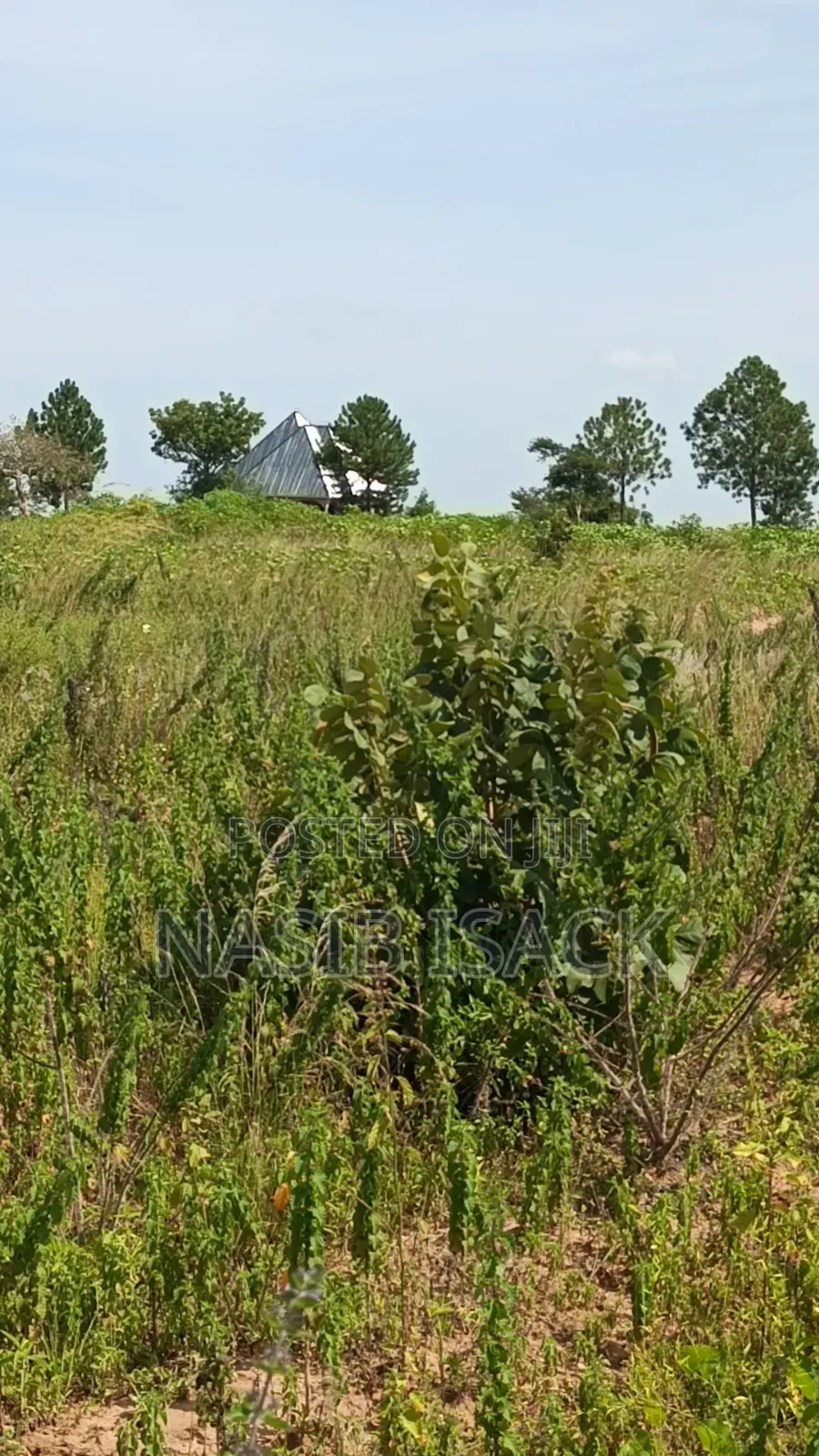 Plot for Sale Usagara Mwanza in Usagara