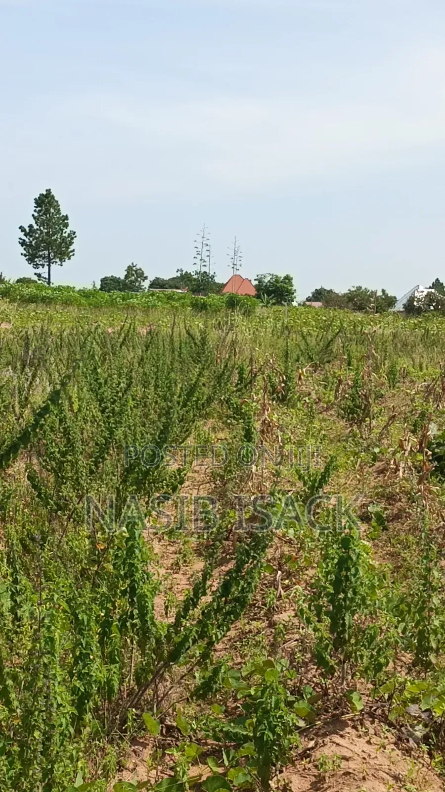 Plot for Sale Usagara Mwanza in Usagara