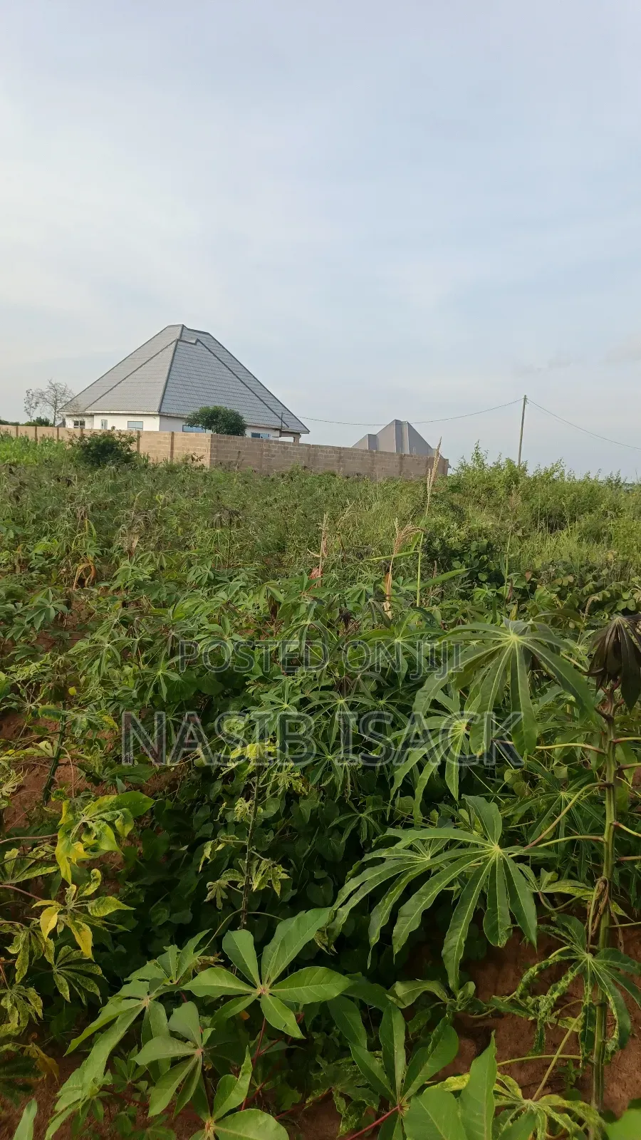 Plot for Sale Square Meters 2650 Mwanza Busweru in Buswelu