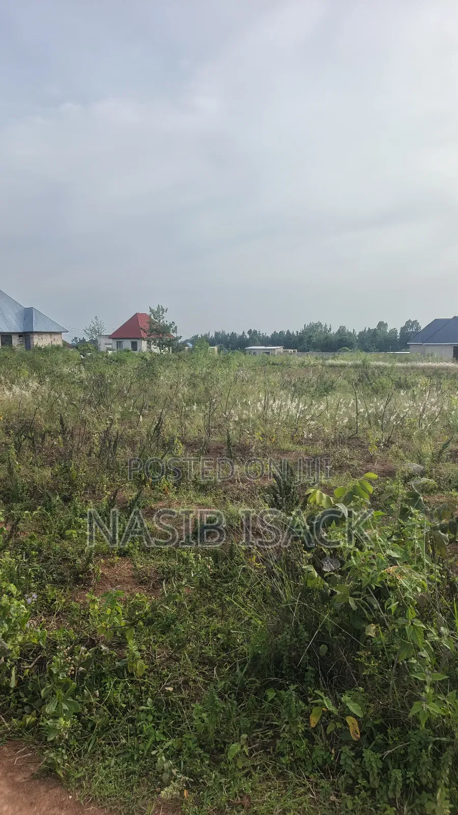 Plot for Sale Square Meters 2650 Mwanza Busweru in Buswelu