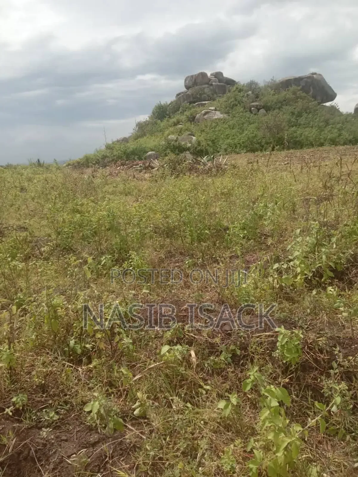 Plot for Sale in Kanyelele