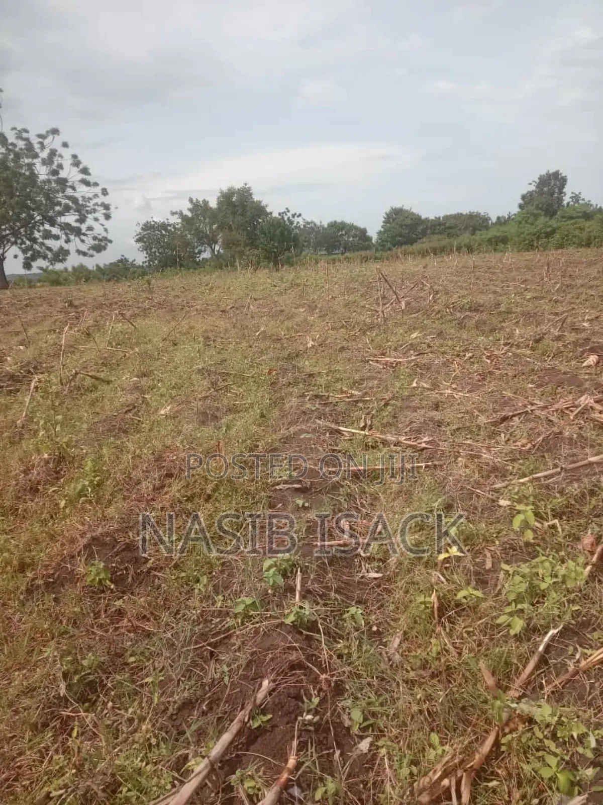 Plot for Sale in Kanyelele