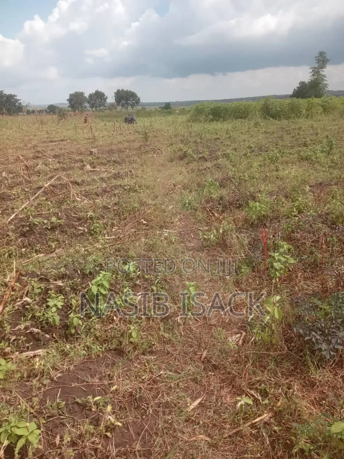 Plot for Sale in Kanyelele