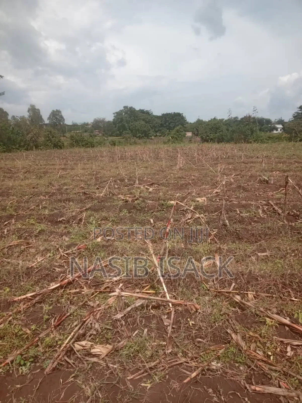 Plot for Sale in Kanyelele
