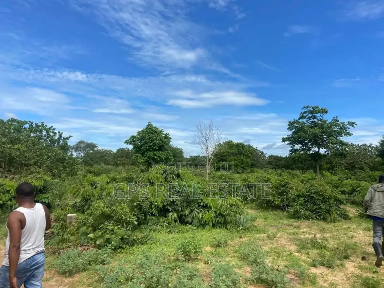 70 Acre of Land for Sale at Kwala Bagamoyo in Kwala
