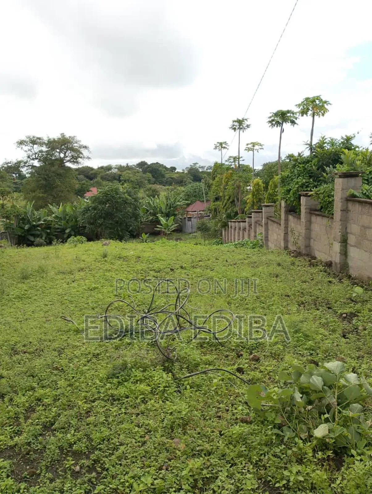 1.5 Acres for Sale at PPF Arusha in Njiro