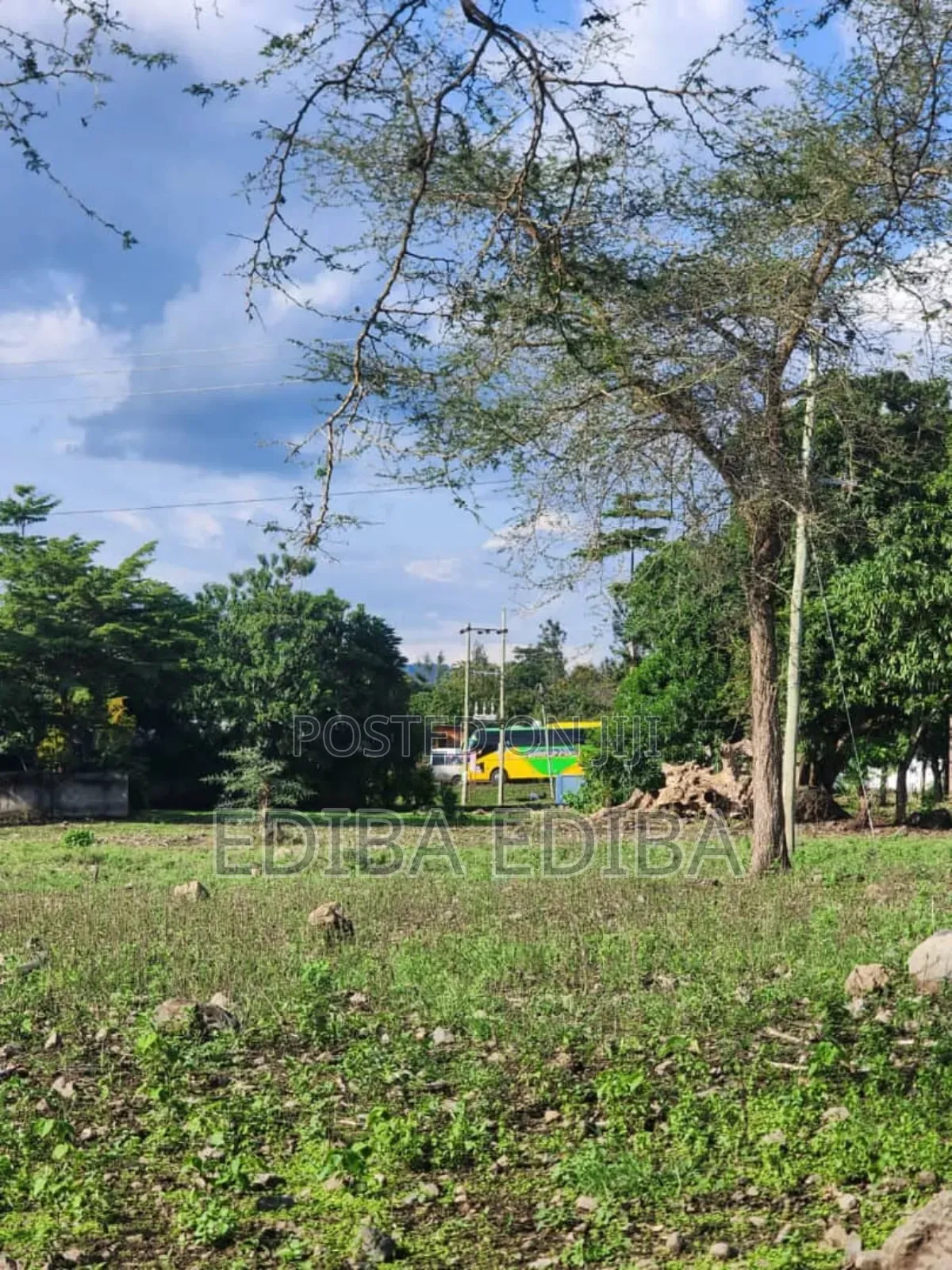 1200 Acres for Sale in Usa, Arusha in Njiro
