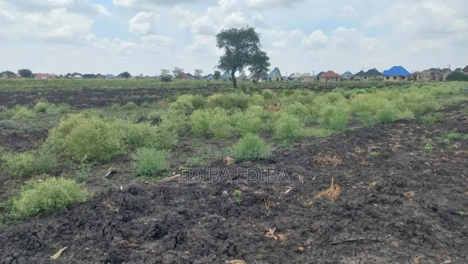 1200 Acres for Sale in Usa, Arusha in Njiro