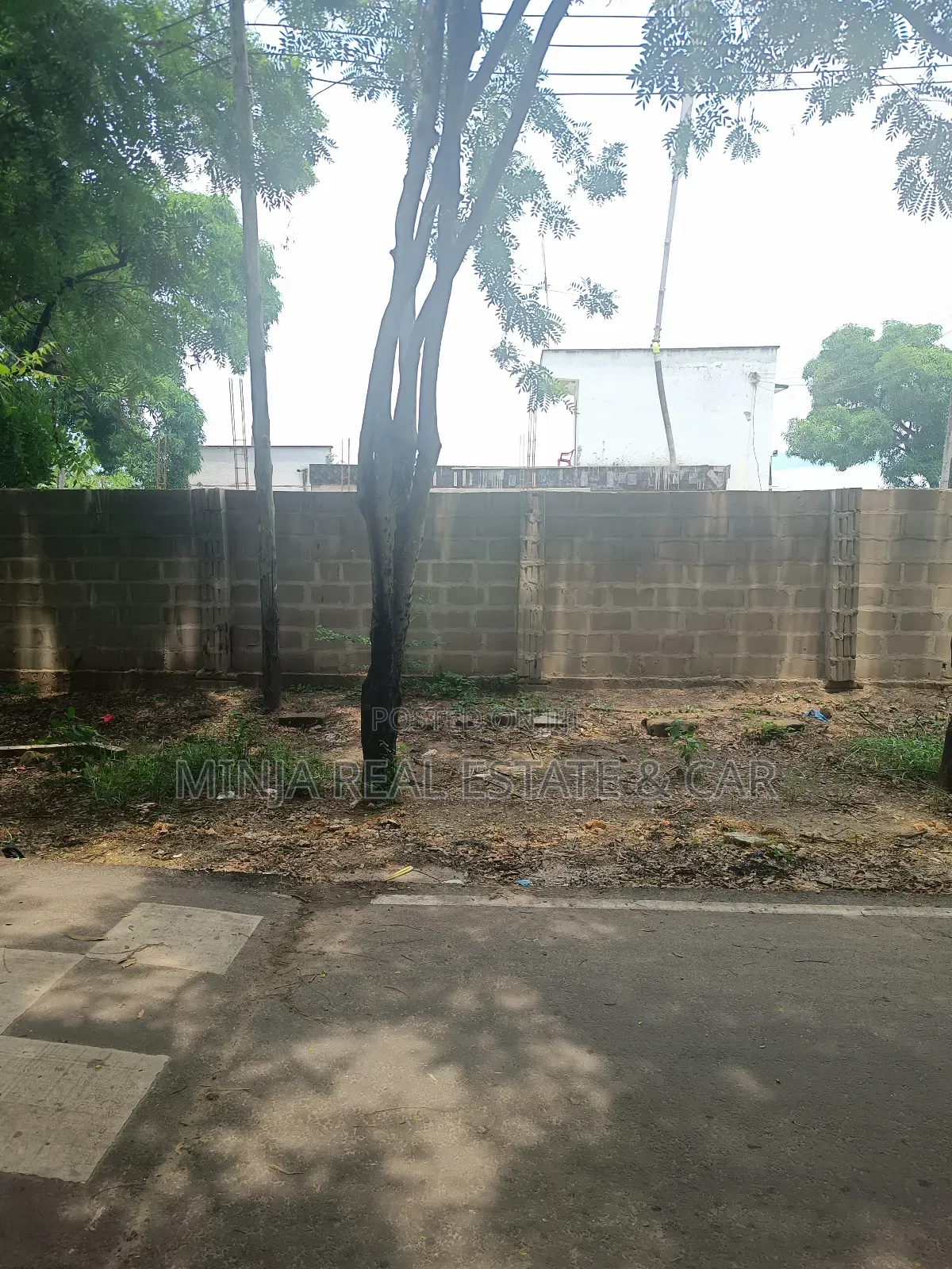 Joint Venture or Buying the Plot in Masaki Rufiji Evenue in Masaki