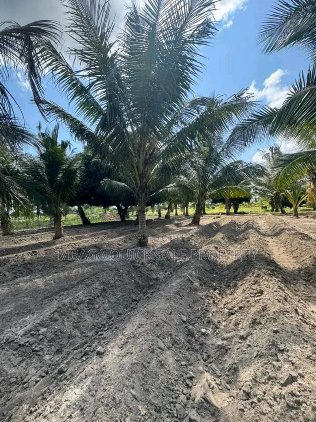 Farm With 30 Acres for Sale at Vikindu Mkuranga in Vikindu