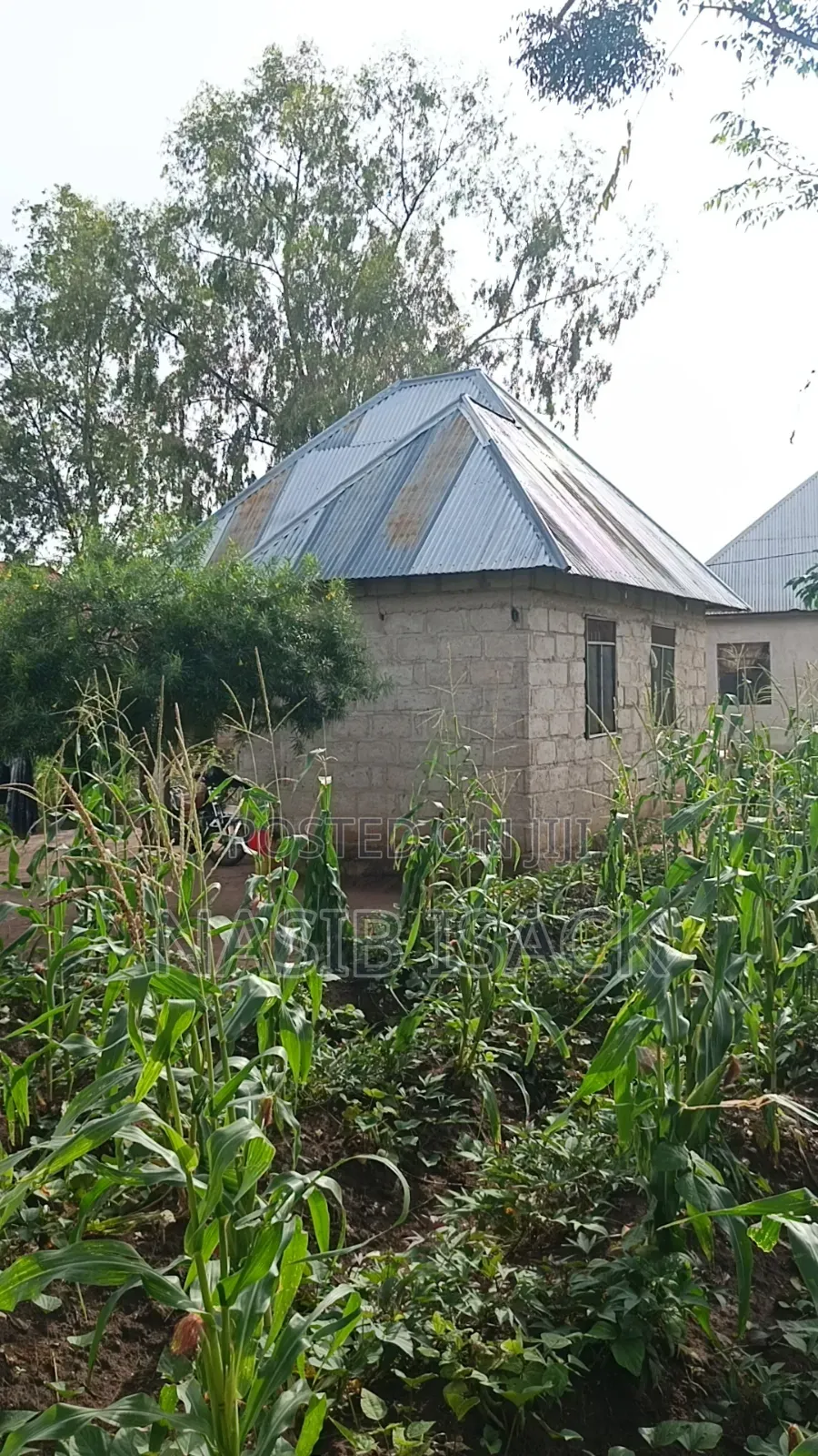 Plot for Sale Busweru Nyamadoke in Buswelu